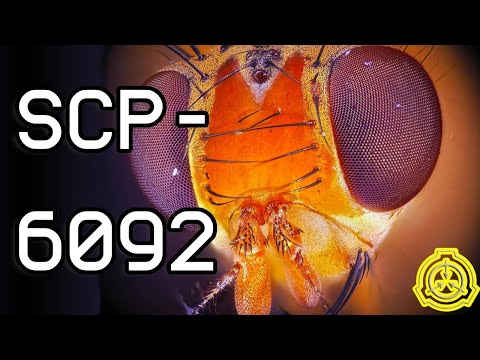 SCP-6092 | Barista, There's a Fly in my Coffee | Fruit fly coffee invaders
