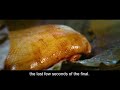 Cook Up A Storm Yin Yang Beggar S Duck