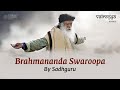 Brahmananda Swaroopa 2023 Vairagya Reprise Soundsofisha