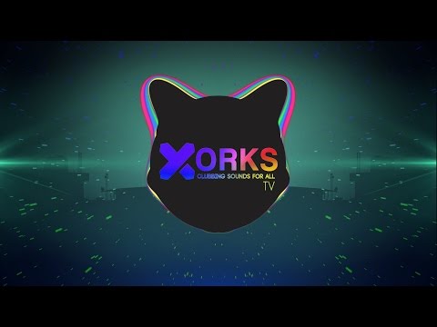 Marco Tolo x Zinasto - Vitamin B