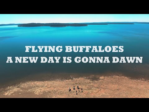 Flying Buffaloes - A New Day Is Gonna Dawn [Official Music Video]