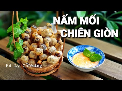 Cách làm Nấm Chiên Giòn giàu dinh dưỡng | Nấm mối | Hà Ly Cooking