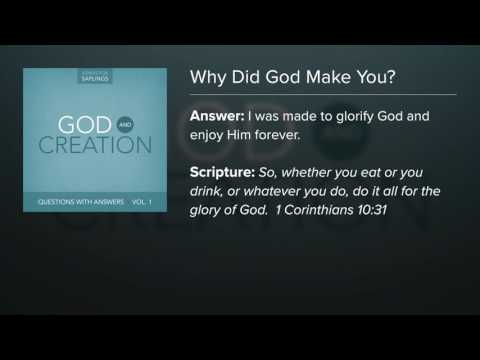 Why Did God Make You - Dana Dirksen