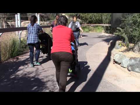 SD Zoo - 2017.11.02 Zoo time40