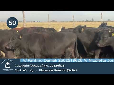 Lote VC CGP - Ramallo Bs As