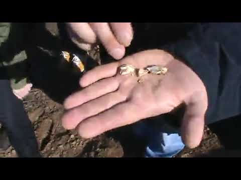 Розвідка 2013 р. preview
