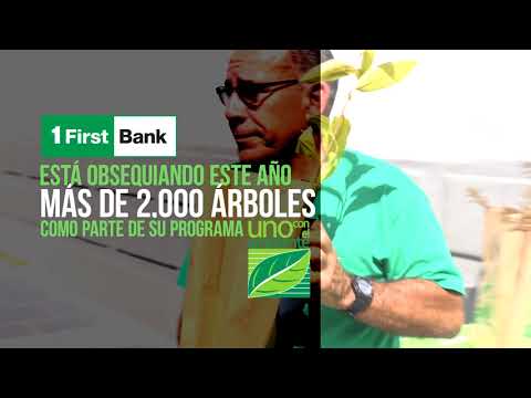 Reforestación Masiva en Puerto Rico