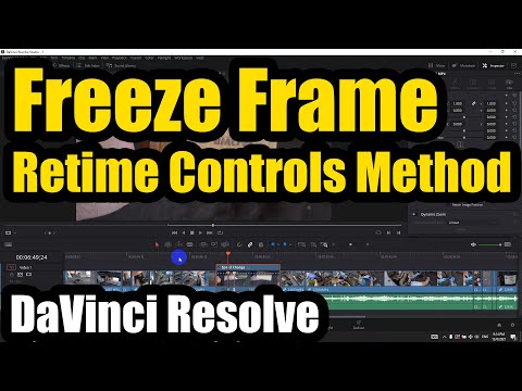 How to do "Freeze Frame" effect? (Davinci Resolve, Retime Controls)