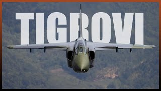 Priča o udarnoj eskadrili srpske avijacije