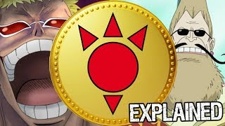The Celestial Dragons Explained - One Piece Discussion | Tekking101