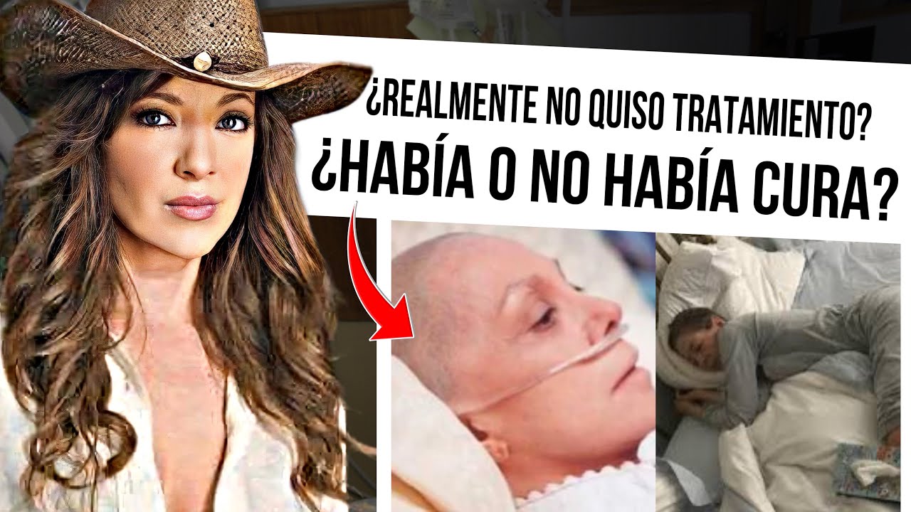 YouTube Thumbnail Downloader FULL HQ IMAGE