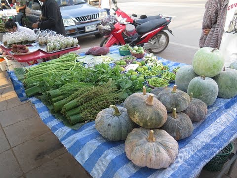 Evening market , Laos Street Food Market