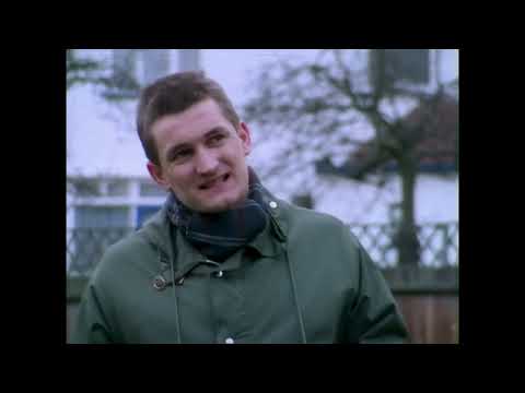 Sheep - Housemartins