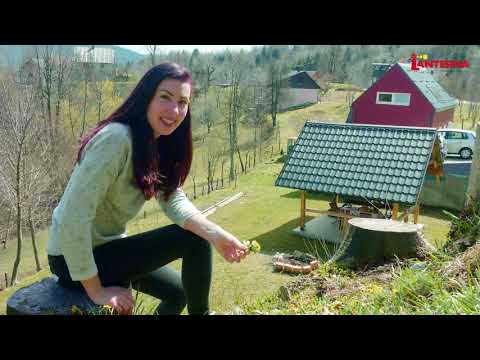 MUDROST BILJAKA - LJEKOVITO BILJE IZ OKUĆNICE