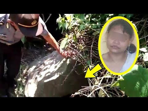 Ulasan tentang pelangsing tetes Fira fit Dengan apa-apa yang lebih baik untuk makan keju jika Anda tumbuh tipis