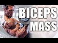My Bicep Routine For Mass | Mike O'Hearn
