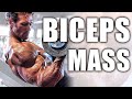 My Bicep Routine For Mass | Mike O'Hearn
