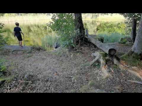 SALSJÖN - Bräkne-Hoby - 2024-09-15 (RONNEBY - BLEKINGE) - Huawei P40 Pro Plus