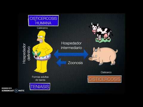 második élet a semmiből élő parazita