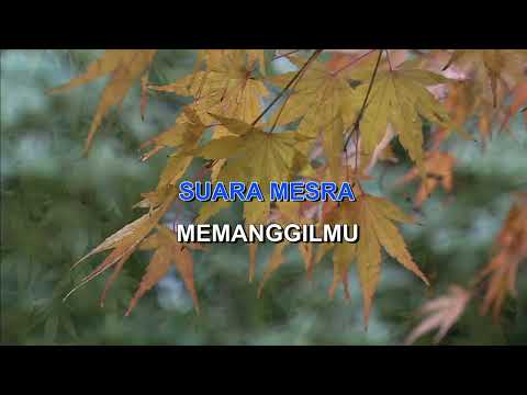 BERCINTA DI UDARA FARID HARDJA Indonesian Malay Karaoke