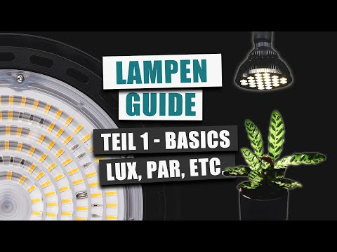 Beleuchtung für Zimmerpflanzen (Teil 1) - Die Basics