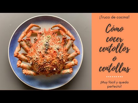 CÓMO COCER CENTOLLO O CENTOLLA🦀 Todos los TRUCOS para que te quede PERFECTO👩‍🍳