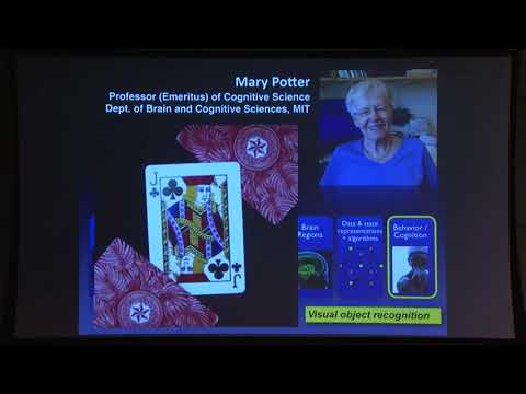 Reverse Engineering the Mind   Prof  James DiCarlo, MIT Department of Brain and Cognitive Sciences