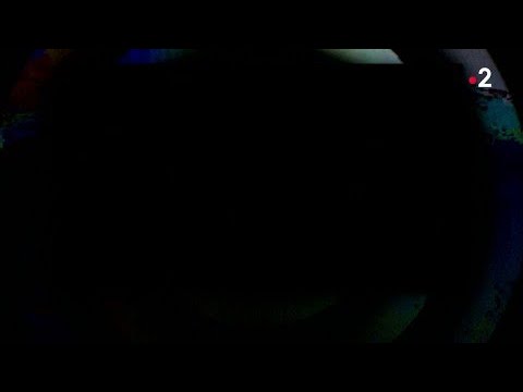 Alcaline, Le Sujet du 26/03  - Le retour du prince Craig David