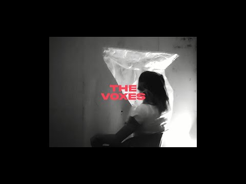 Tea Cup - The Voxes (Official Music Video)