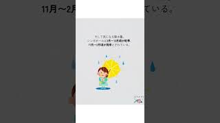 シンガポールの雨の多さと気候☀️☔️