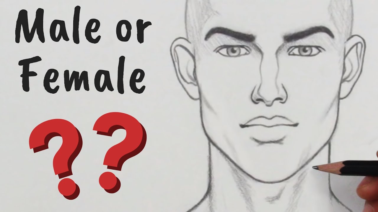How to Draw Male/Female FACIAL Features - RapidFireArt