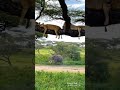 Viral Videos Share Chat Com