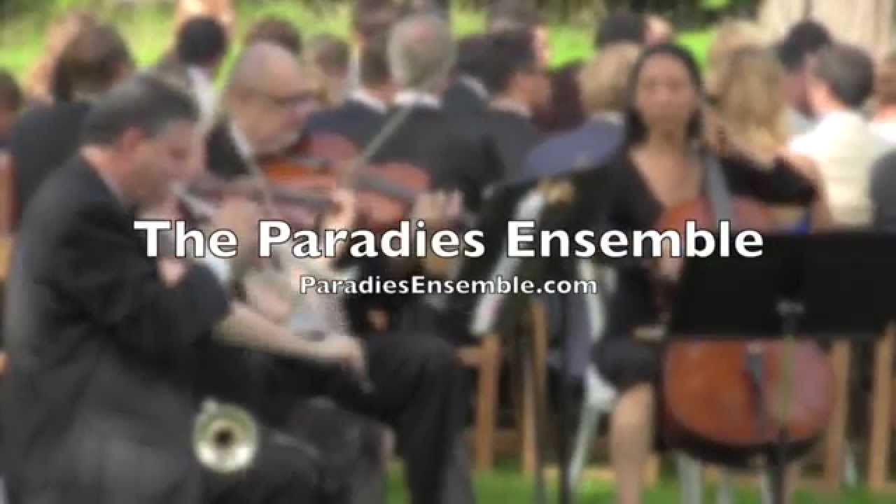 Promotional video thumbnail 6 for Julie Paradies