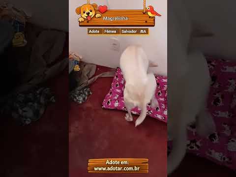 Vídeo de Magrelinha