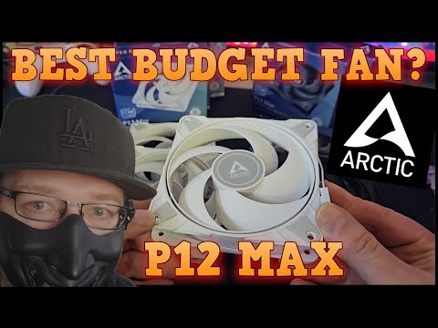 Arctic P12 Max Fan: The New Benchmark in Budget PC Cooling Solutions!