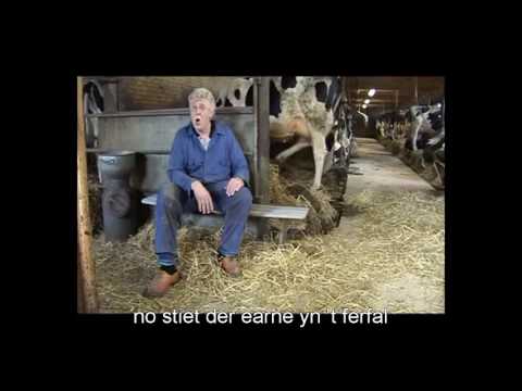 Kobus Algra   Buthusbankje (met friese ondertiteling)