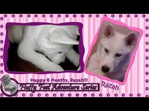 Happy 8 Months, Razah!!!