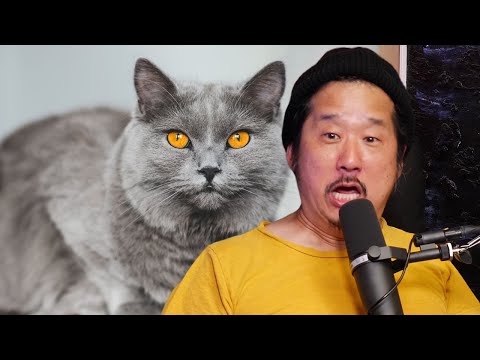Bobby Lee Opens Up About His Childhood Pet Cat