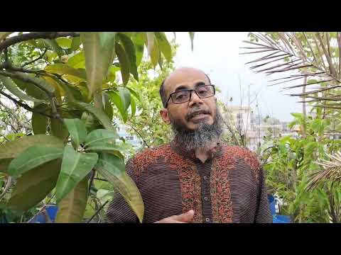 Card  transaction type. @Marufs_Thinking_Room