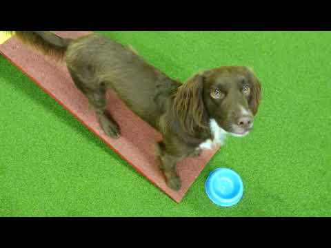 keinun opettelua, kesä 2018