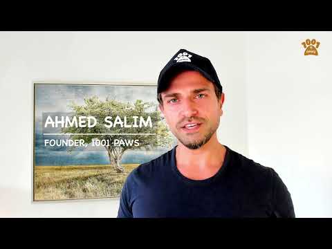 Launching first Live Online Course for Managing Cat Colonies - Middle East @1001paws