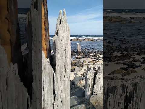 Nature#nature #beach #ocean