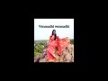 Venmadhi Venmadhi Dance Cover