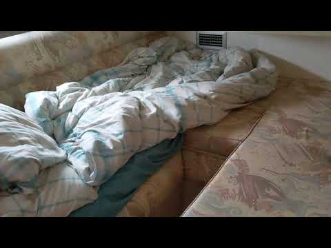 Sealine 360 Statesman  - Boatshed - Boat Ref#265421