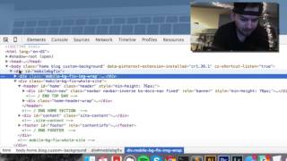 Quick Intro To Firebug - Basic Features And Uses
