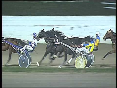 Trotto 06/12/2016 - 7ª corsa