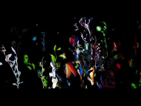 LILABUNGALOW // KleinerGleichMehr official Video