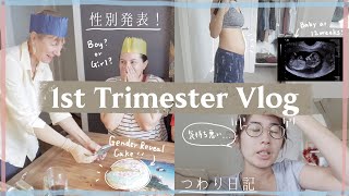 つわり日記や性別発表！！1st Trimester Vlog (妊娠初期Vlog)