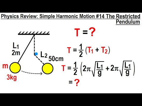 Physics Review Simple Harmonic Motion 1 The Basics
