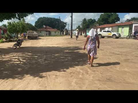 Tingui Botó: Batalha, Resistência - Narrativas Indígenas do Nordeste